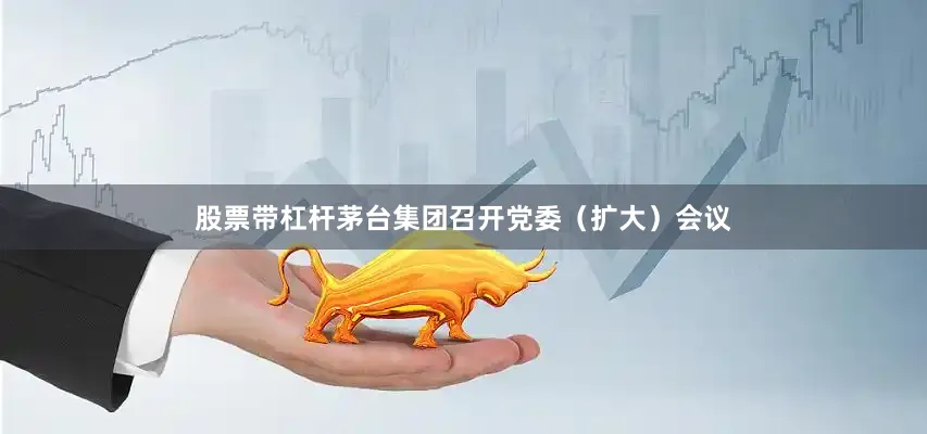股票带杠杆茅台集团召开党委（扩大）会议