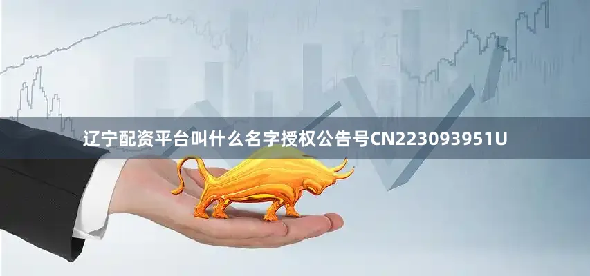 辽宁配资平台叫什么名字授权公告号CN223093951U