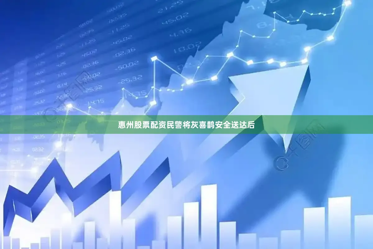 惠州股票配资民警将灰喜鹊安全送达后